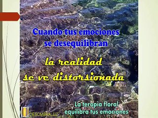 FLORES DE BACH PARA LA VIDA COTIDIANA