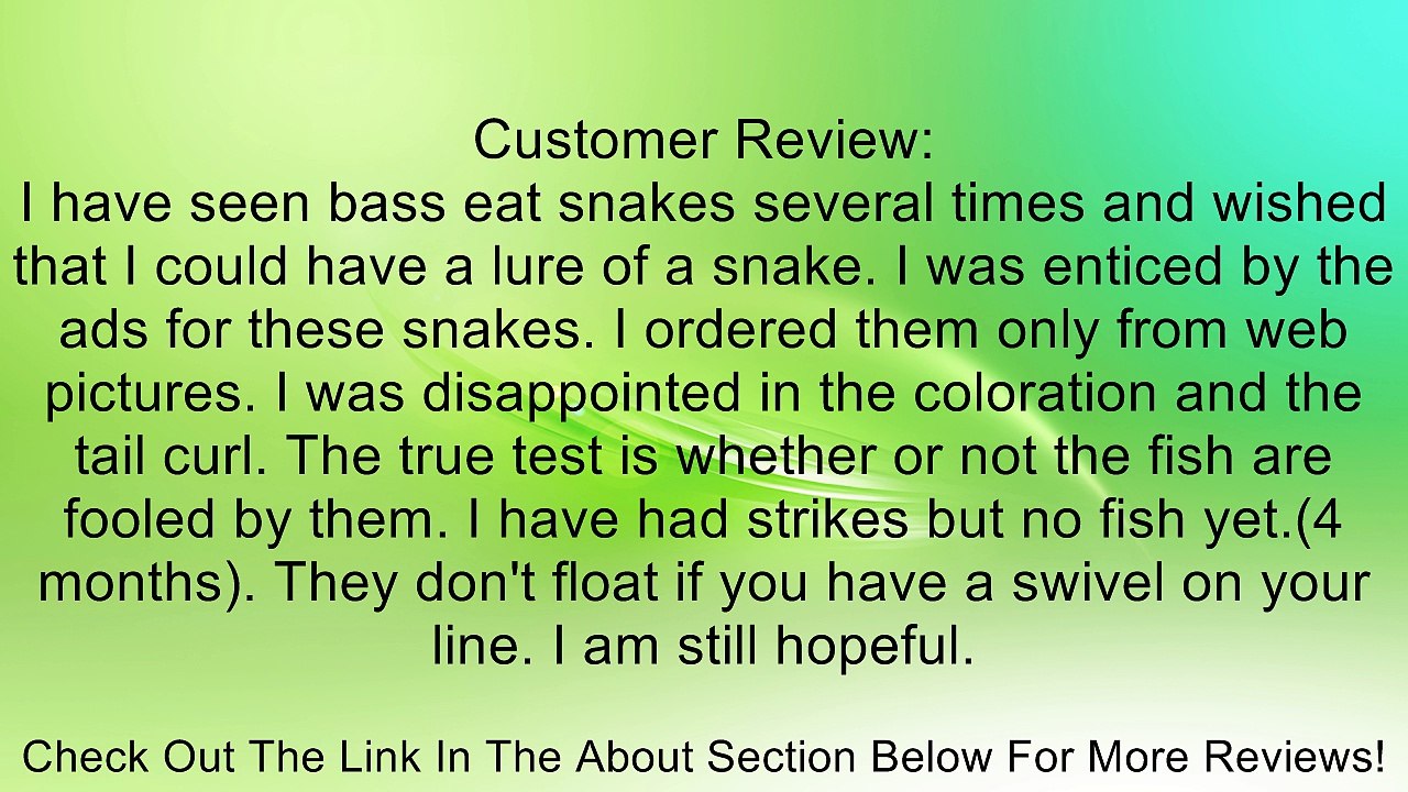 Mann's Bait Company Hardnose Floating Snake Fishing Lure (Pack of 4), 10-Inch, Combo Pack Review