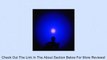 Alldaymall F-044 395-410nm UV Inspection Led Cat-Dog-Pet Urine Blacklight Flashlight Torch Review