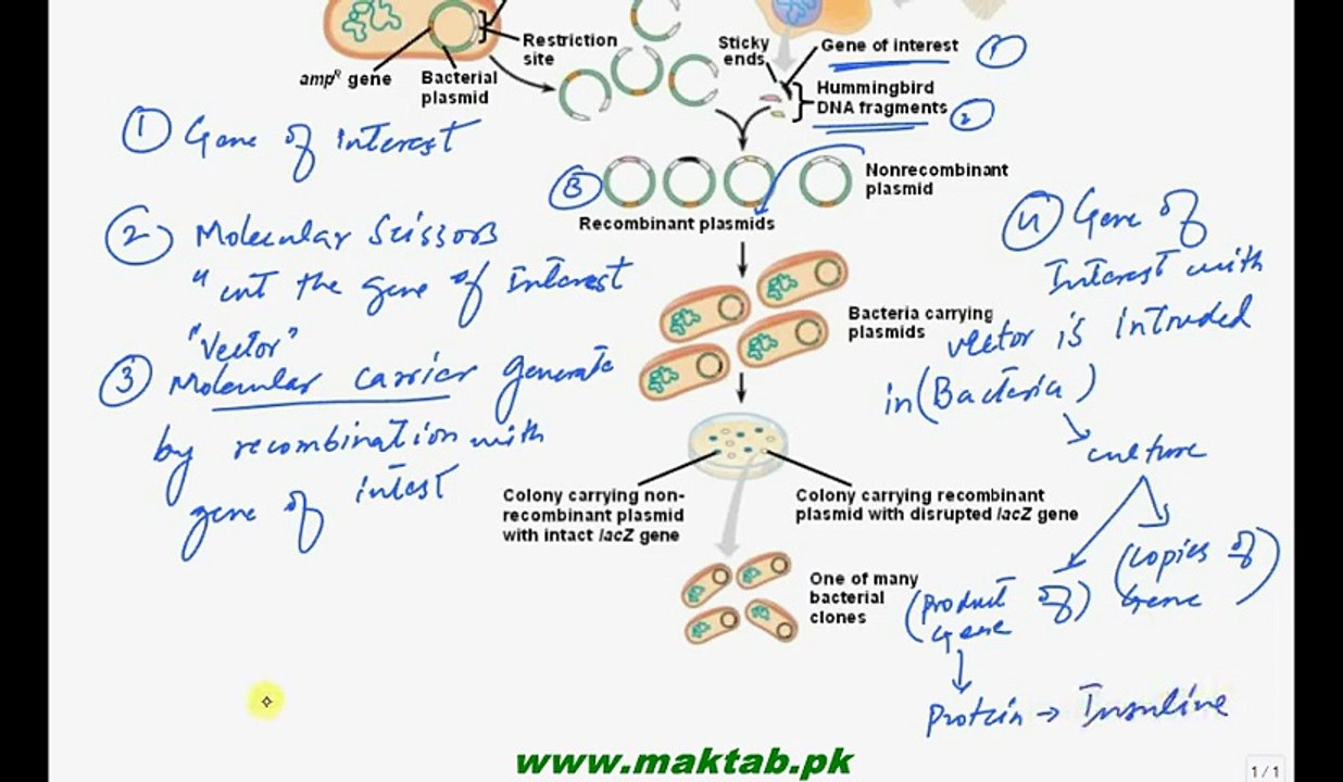 FSc Biology Book2, CH 23, LEC 2, Cloning of Gene DNA Recombinant Technology