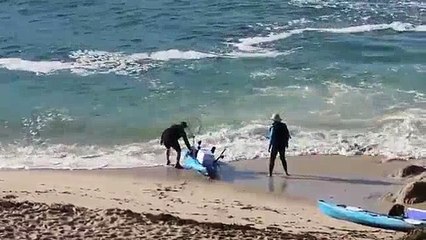 Comic Moment Trying to Get Kayak to The Sea