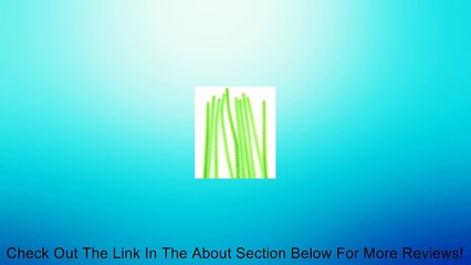 Bulk 12 Inch Long Bright Green Chenille Stems or Fuzzy Sticks 150 Total (6 Bags of 25pc) Review