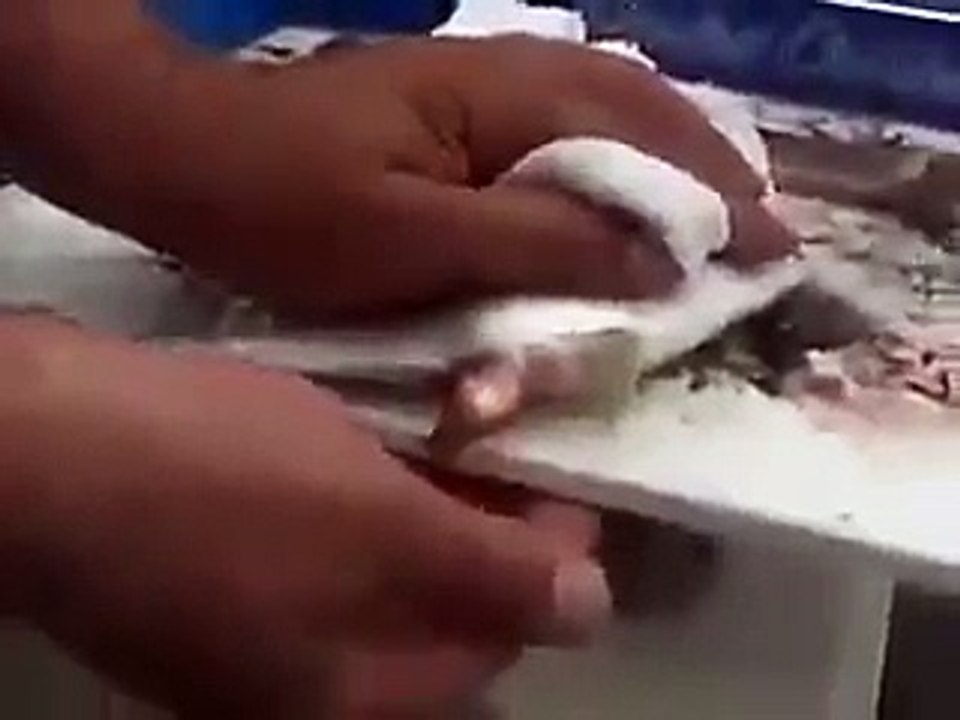 incredible video must watch.