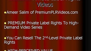 Premium Private Label Rights Videos Offer - PremiumPLRVideos.com