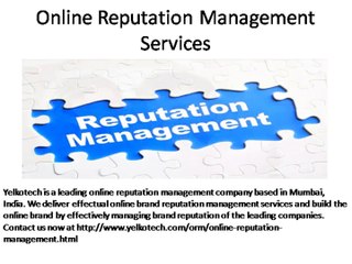 Online Reputation Management Services