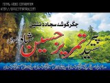 Uras BaBa Syed Manzoor Hussain Shah (2014 part 1 Qawal Nadeem Akhtar) (1)