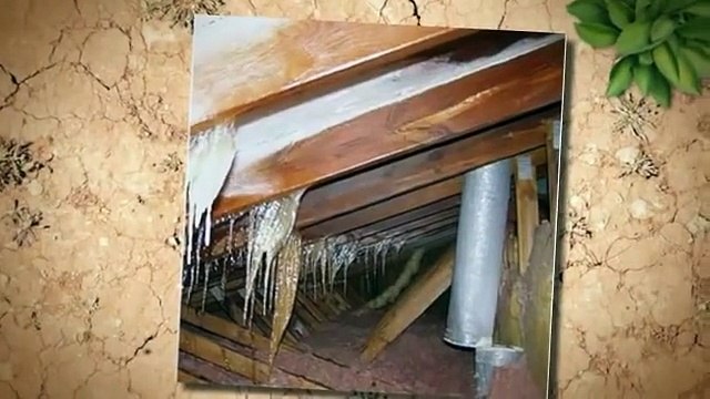 Roofing Inspection by The Best Home Inspectors Dallas