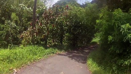 Grenade scouter 5,2014