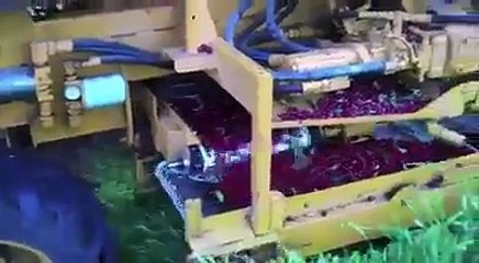 Cherry picking machine