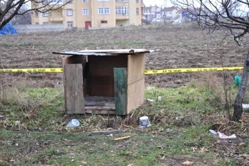 Minik Derviş'i, Sokak Köpekleri Parçalamış