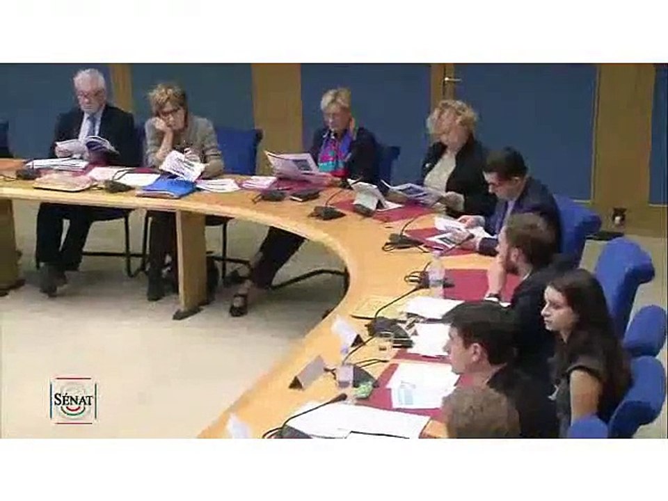 Jean-Marc Jancovici, "Engager la France dans la transition énergétique", commission du Sénat des affaires économiques et commission du développement durable, Paris, 17 décembre 2014