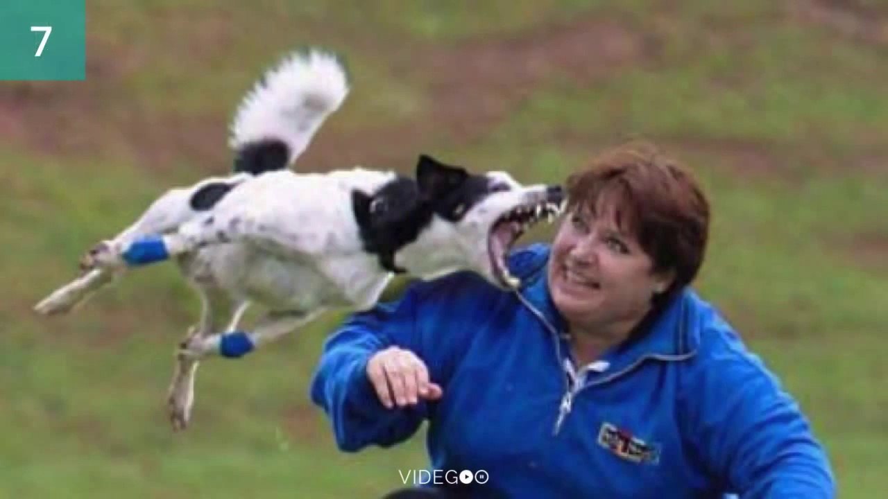 Kazadan 1 Saniye Önce Çekilen 19 Fotoğraf