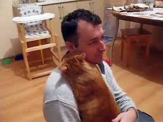 Cat Gives Its Owner A Big Hug