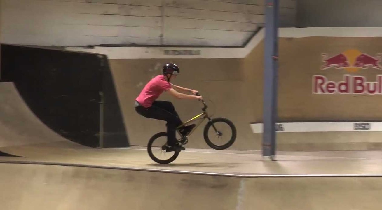Holiday Shred