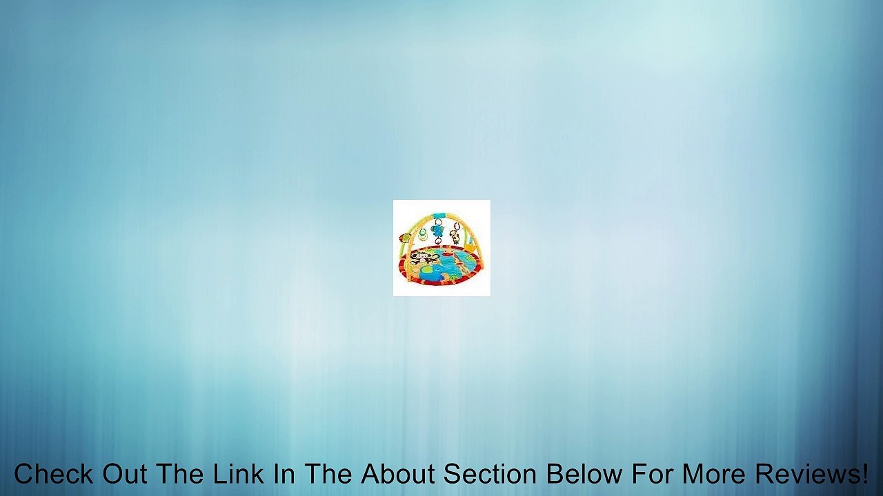 Bright Starts Jammin' Jungle Activity Gym Review