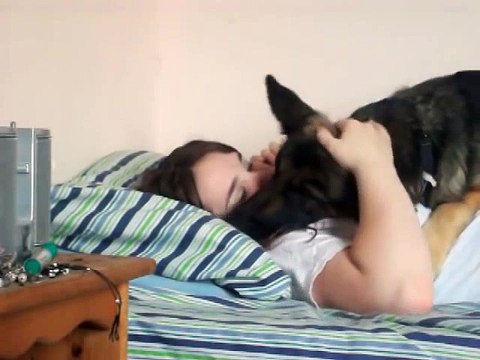 German Shepherd Wants To Sleep And Hug Owner!