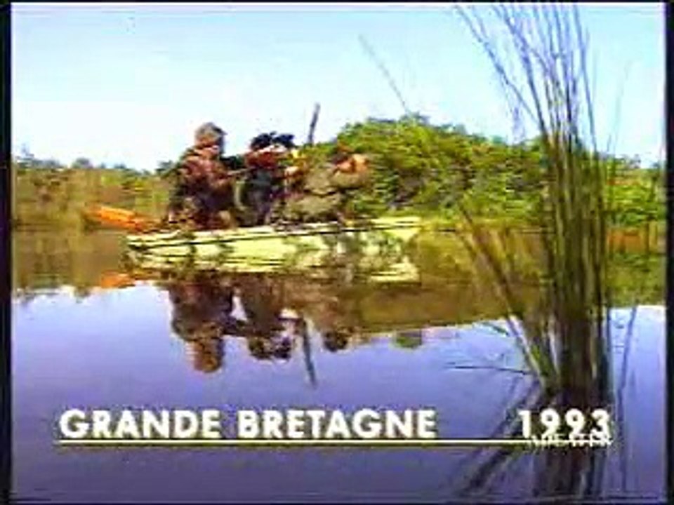 Pub Woodpecker (Canard)