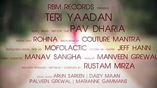 TERI YAADAN New Sad song 2014