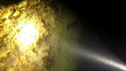 Lac du Bourget - La Grande Cale 2014-12-14