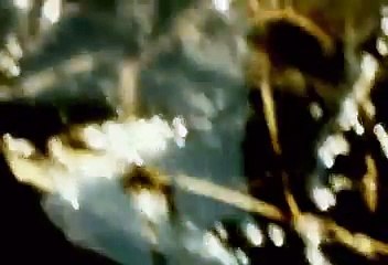 skrzydlaty swiety wolni od klęczenia