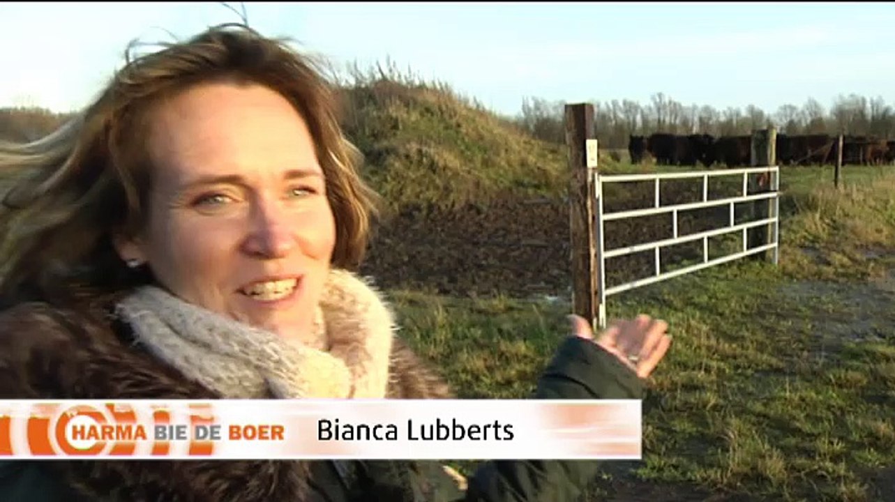 Het Weer Harma bie de boer [19122014] RTV Noord Video Dailymotion