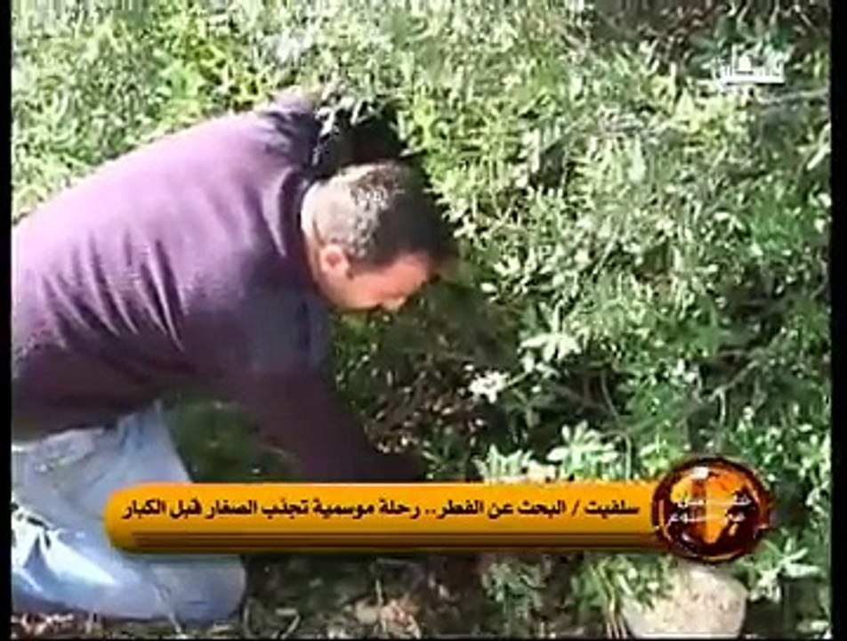 فلسطين في اسبوع 19-12-2014