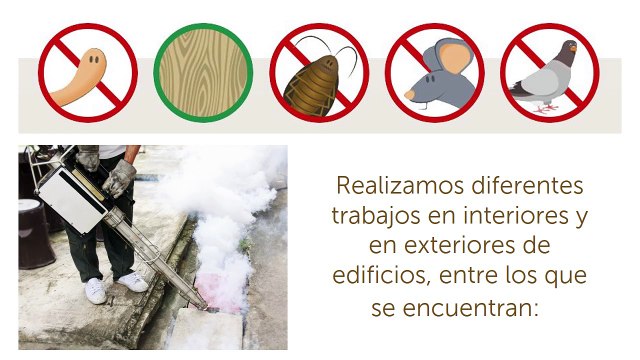 Irabia Control de Plagas - Especialistas control de plagas en Biskaia - Desinfección Navarra