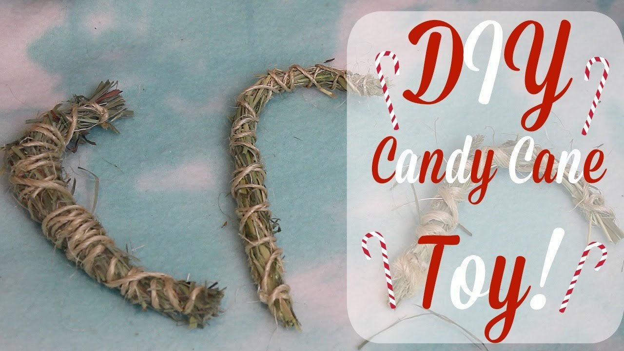 DIY Rabbit/Guinea Pig Candy Cane Toy!