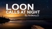 (OFFICIAL VIDEO) LOON CALLS AT NIGHT / COMMON LOON VOICES