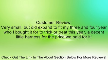 New Kid Keeper Safety Harness Baby Bat Wing Backpack Bag Review