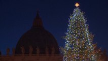 Vatican lights up for Christmas celebrations