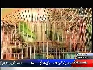 Heartfull Story Of One Mother….Ur heart will cry after watching this