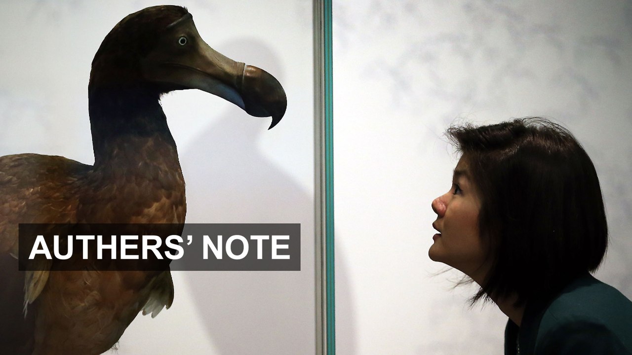 Bulls, bears and dodos