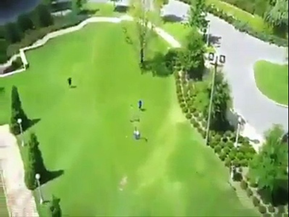 Amazing must watch