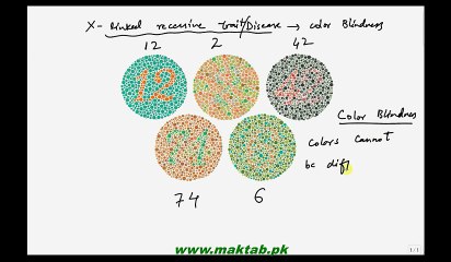 FSc Biology Book2, CH 22, LEC 12,Sex linkage in Humans and Genetics of Hemophilia
