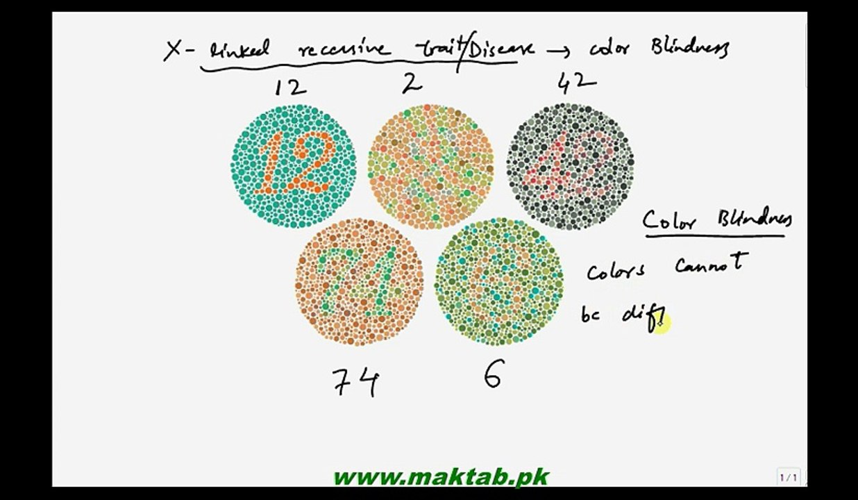 FSc Biology Book2, CH 22, LEC 12,Sex linkage in Humans and Genetics of Hemophilia