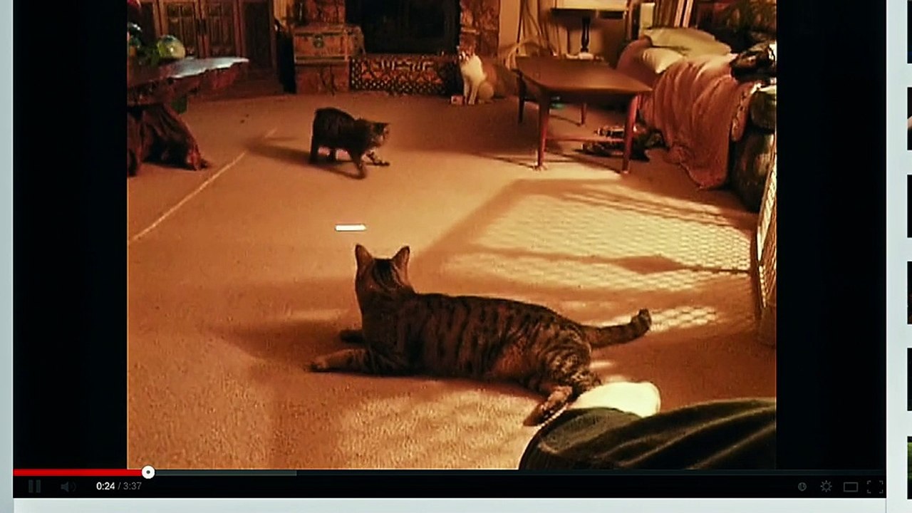 Night At The Museum: Secret Of The Tomb - Exclusive Interview With Ben Stiller & Owen Wilson