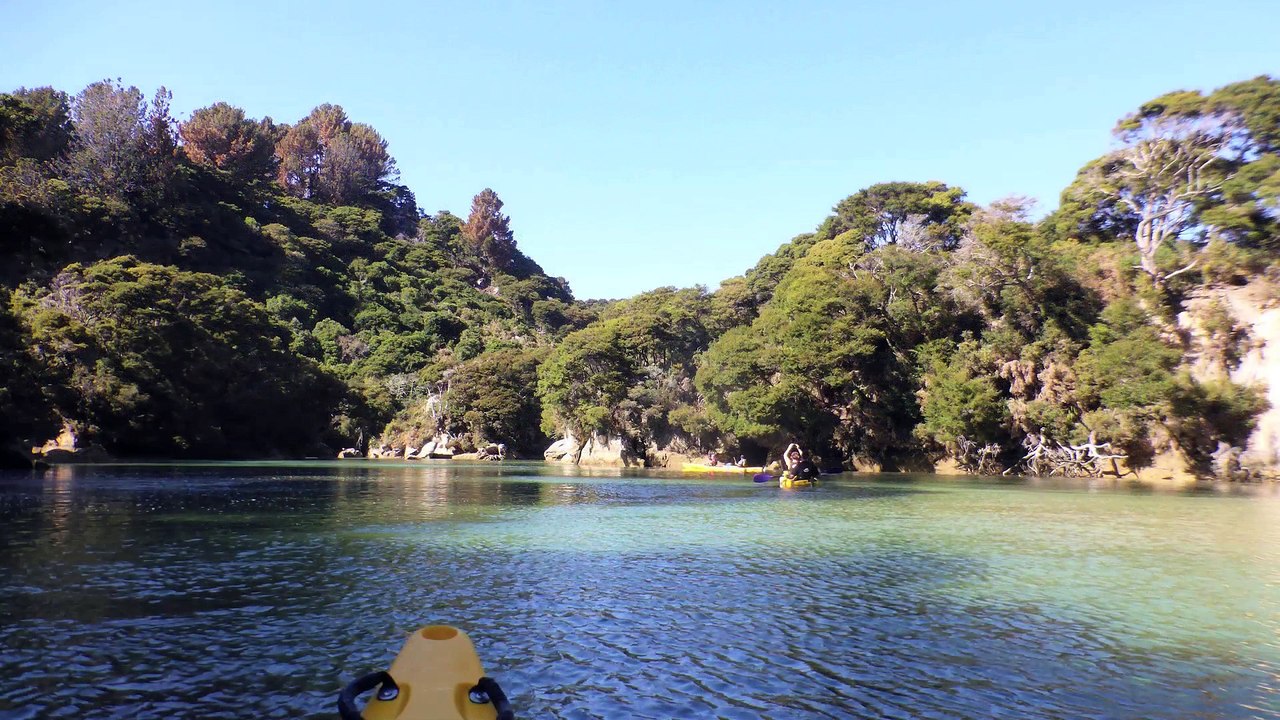 The story of the little Paoa shell