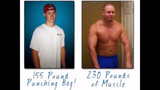 Critical Bench Program Results