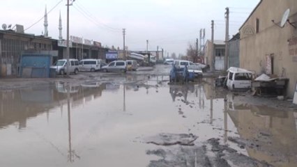 Göle Dönüşen Yola Olta Atarak Tepki Gösterdi