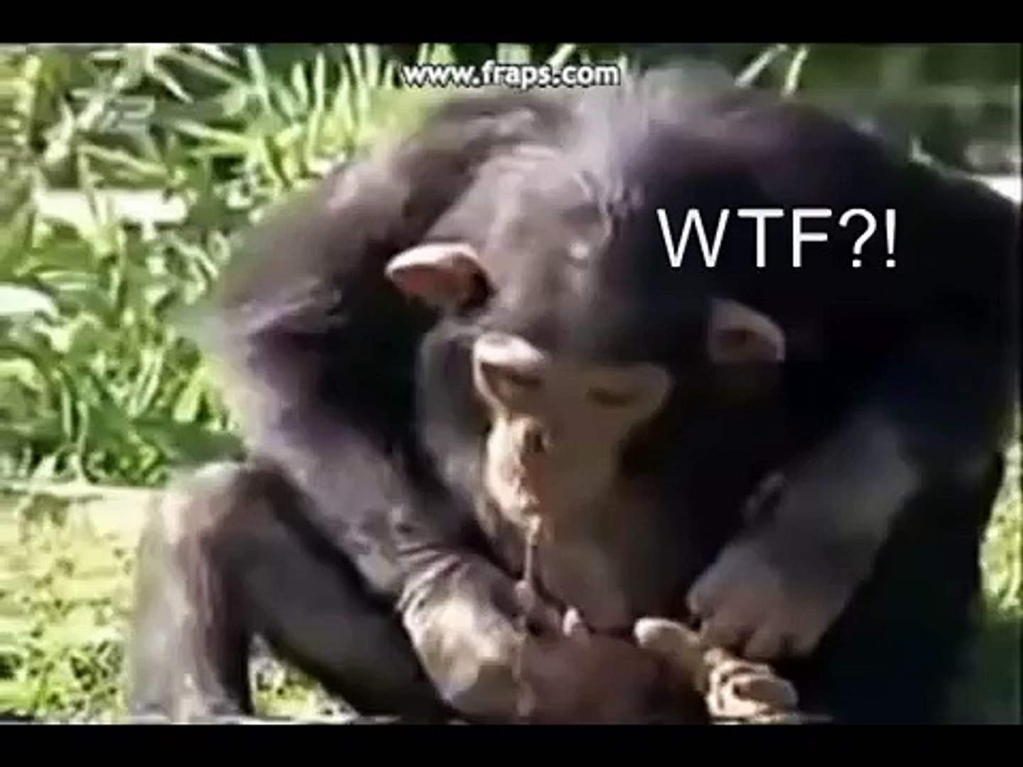 Funny Clips Xxx - video Dailymotion