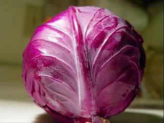 Understanding Acids: Definition & Properties 🌡️