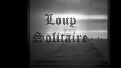 Loup Solitaire - 30 janvier 2014 - Radio Centre-Ville