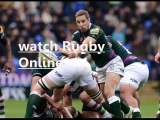 watch Wasps vs London Irish 21 dec online