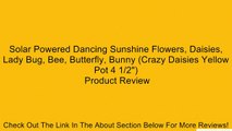 Solar Powered Dancing Sunshine Flowers, Daisies, Lady Bug, Bee, Butterfly, Bunny (Crazy Daisies Yellow Pot 4 1/2