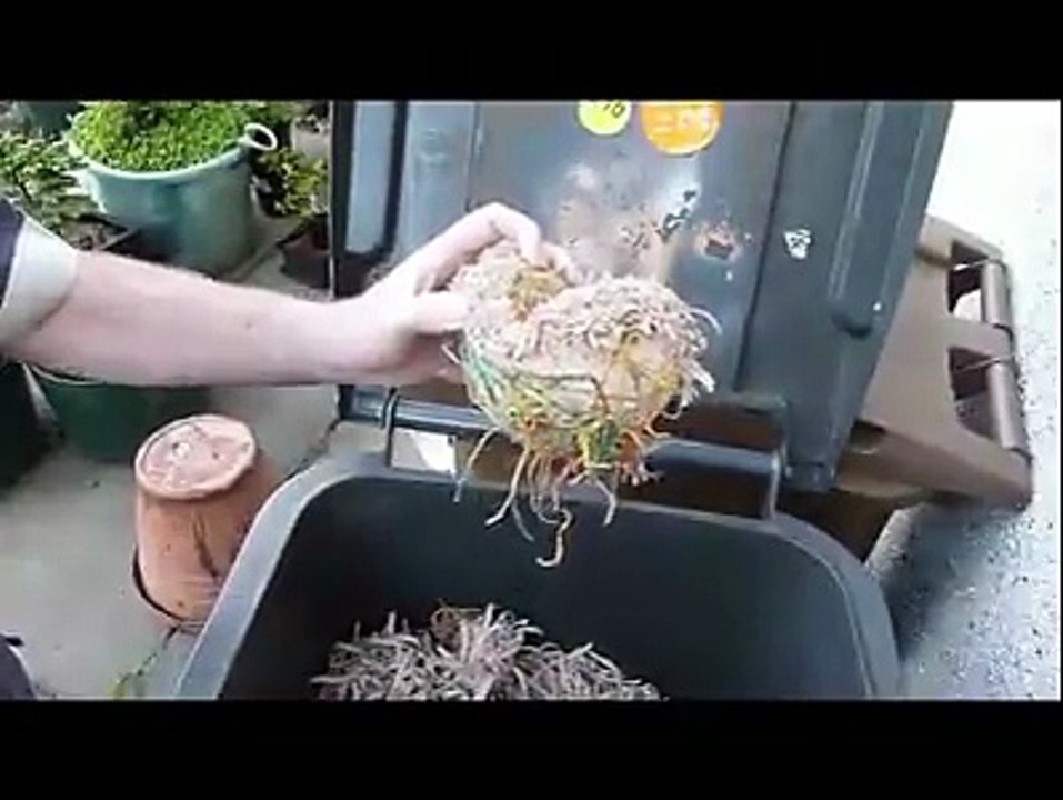 Unbelievable ! WHAT IS THIS ?