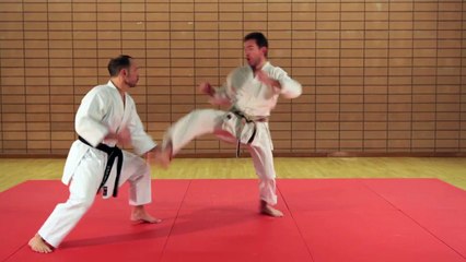 Exemple Jyu ippon kumité 2° dan