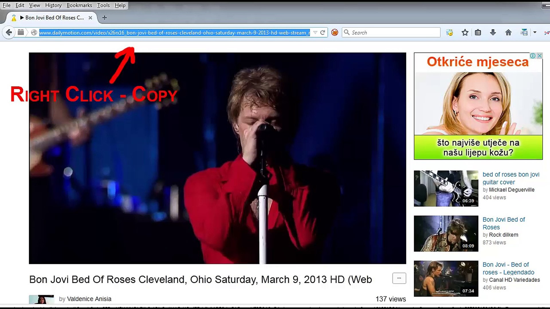 How To Download Dailymotion Videos Using Free Dailymotion Video Downloader