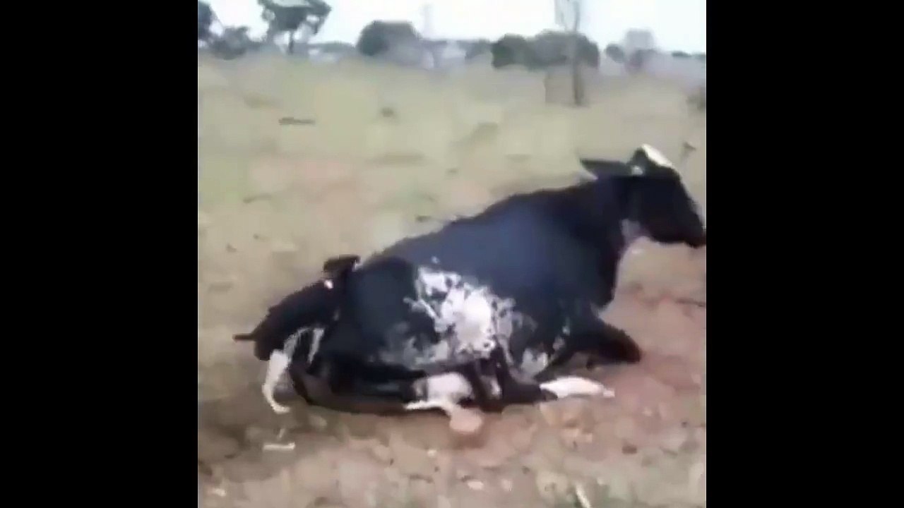 kkkkkkkkk