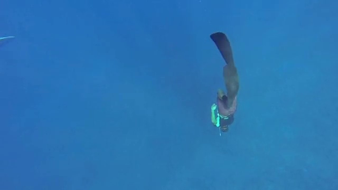 Le bleu qui fait mal aux yeux (première partie)